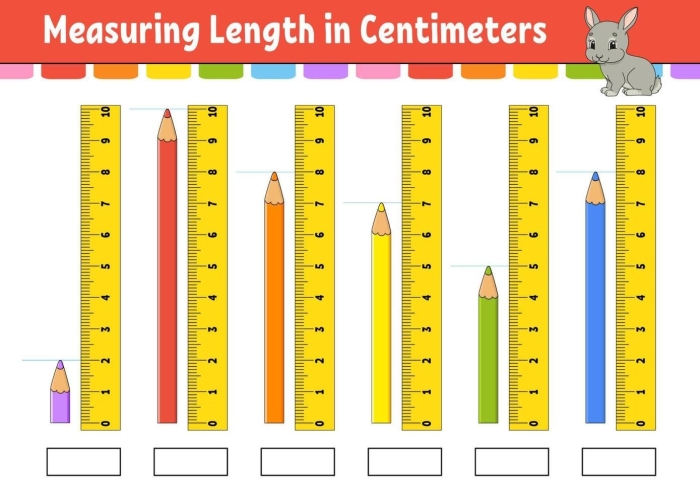 Colorful Measuring Length in Centimeters activity for young learners in civics and government class 23 First Grade civics worksheet showing how to measure objects in centimeters with fun illustrations