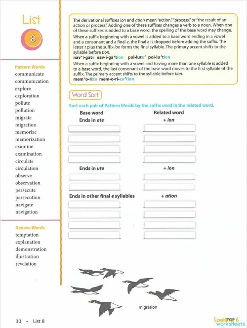 First Grade Oi Phoneme Practice Worksheet Number 17 First grade alphabet worksheet featuring the oi phoneme for vowel practice