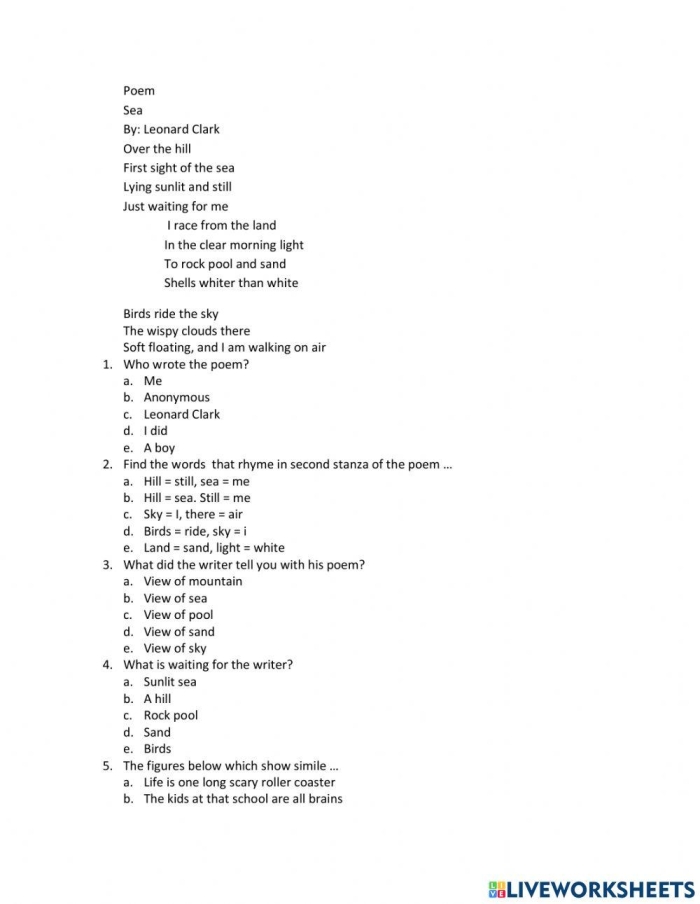 First Grade students working on the What's Up with This Poem worksheet to explore poetry