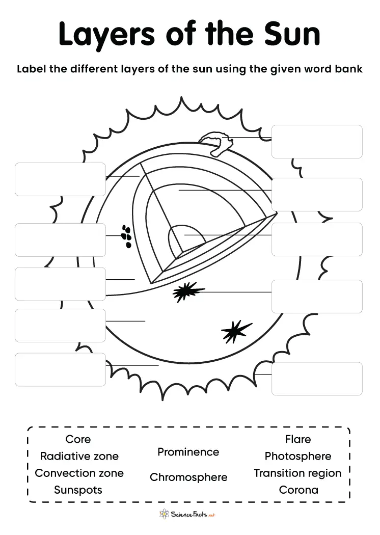 First Grade Layers of the Sun worksheet with labeled sun layers and fun facts