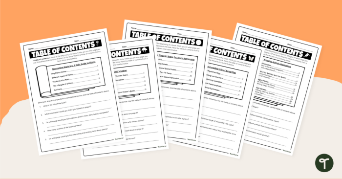 Exploring a Table of Contents worksheet for early learners Sample worksheet featuring a table of contents and related questions for first graders