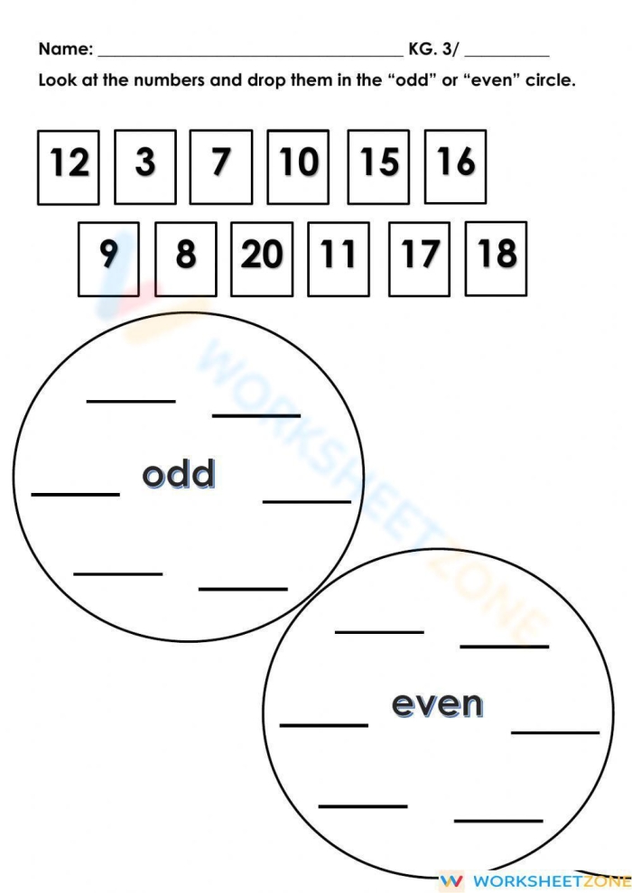 First Grade Math: Grouping Objects - Odd and Even Numbers Worksheet 24 A colorful worksheet for first graders focusing on grouping objects by odd and even numbers