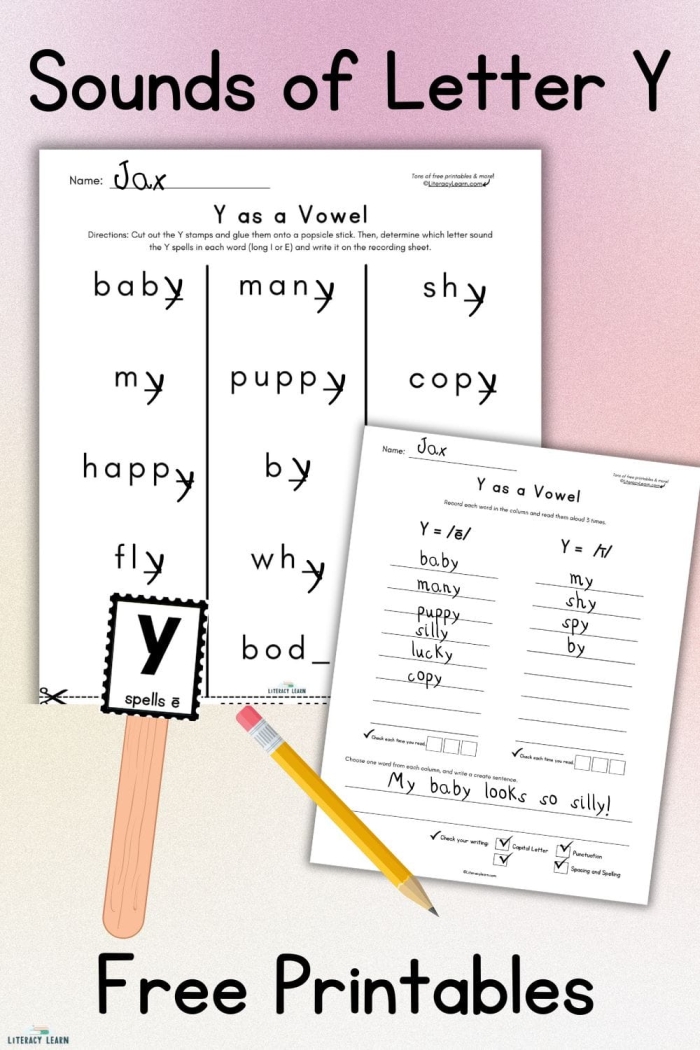 First Grade Geography worksheet showing Y as a vowel practice words