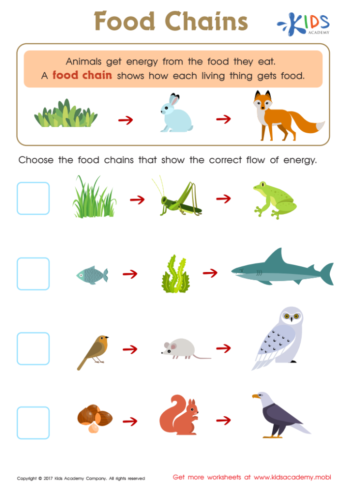 Engaging Fun with Food Webs worksheet for fourth graders focused on food chains and ecosystems Fourth grade student completing a Fun with Food Webs worksheet on life science