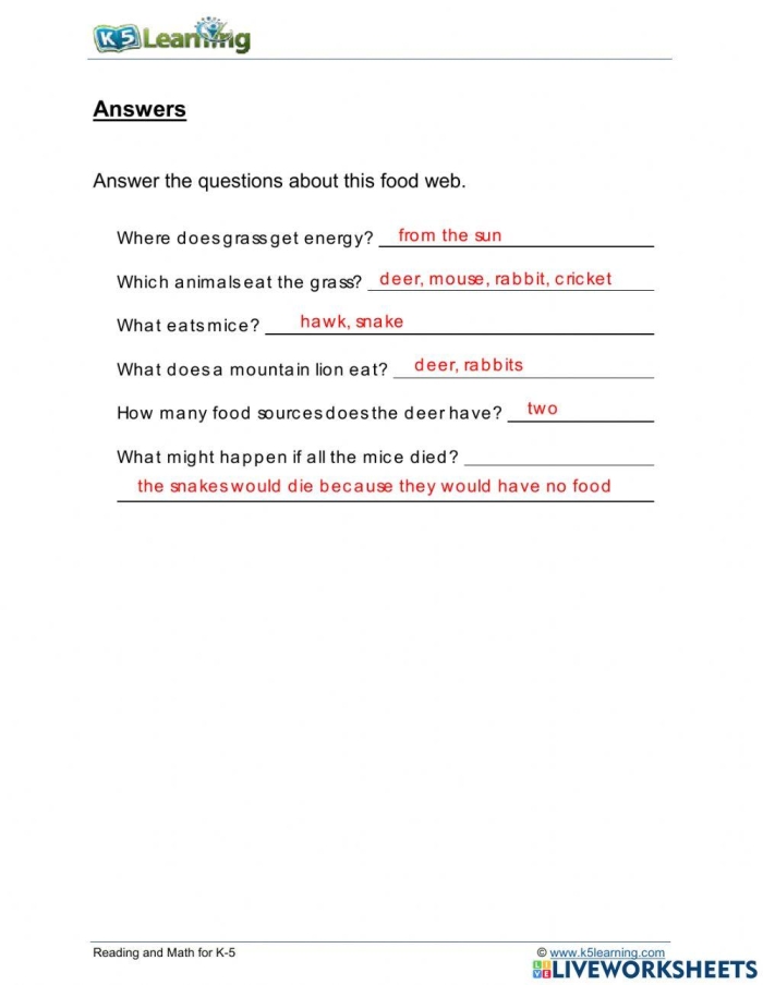 Exploring food webs with an engaging worksheet for fourth graders in Grammar and Mechanics category Fourth grade student completing a Fun with Food Webs worksheet focusing on life science concepts