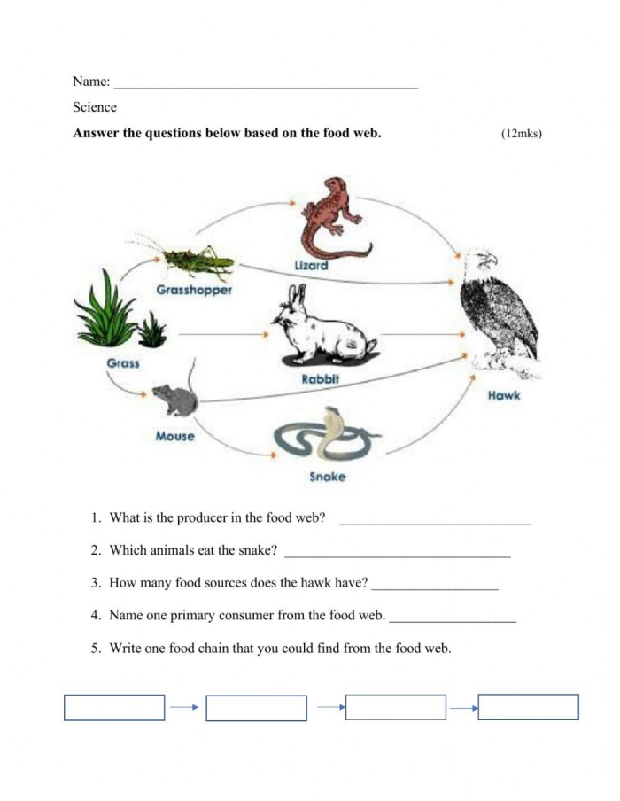 Engaging Fun with Food Webs activity sheet for fourth graders to explore life science concepts Fourth grade worksheet featuring a colorful food web diagram and related questions