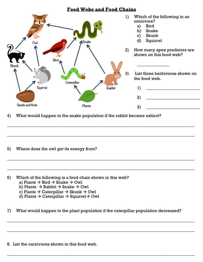 Engaging fourth graders with a Fun with Food Webs activity on food chains and habitats Fourth grade students completing a Fun with Food Webs worksheet to learn about ecosystems
