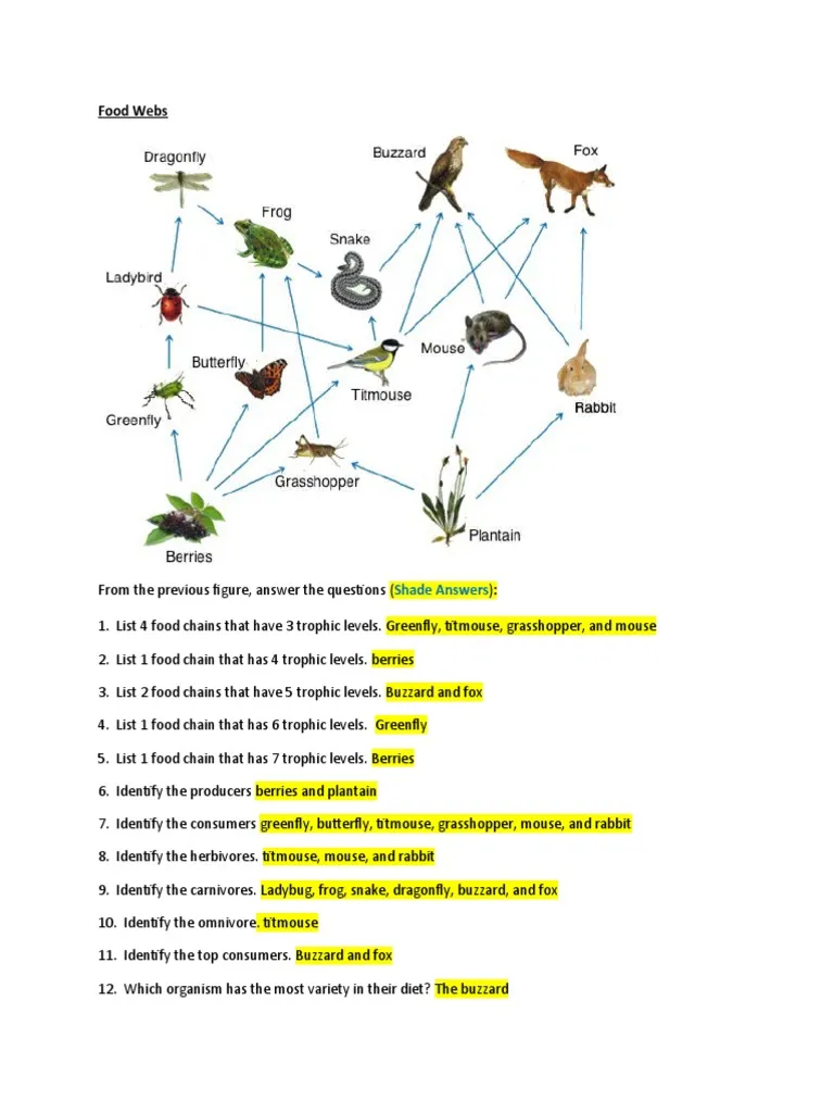 Fun with Food Webs worksheet for fourth grade science learning session number 17 Fourth grade students completing a Fun with Food Webs worksheet to learn about life science