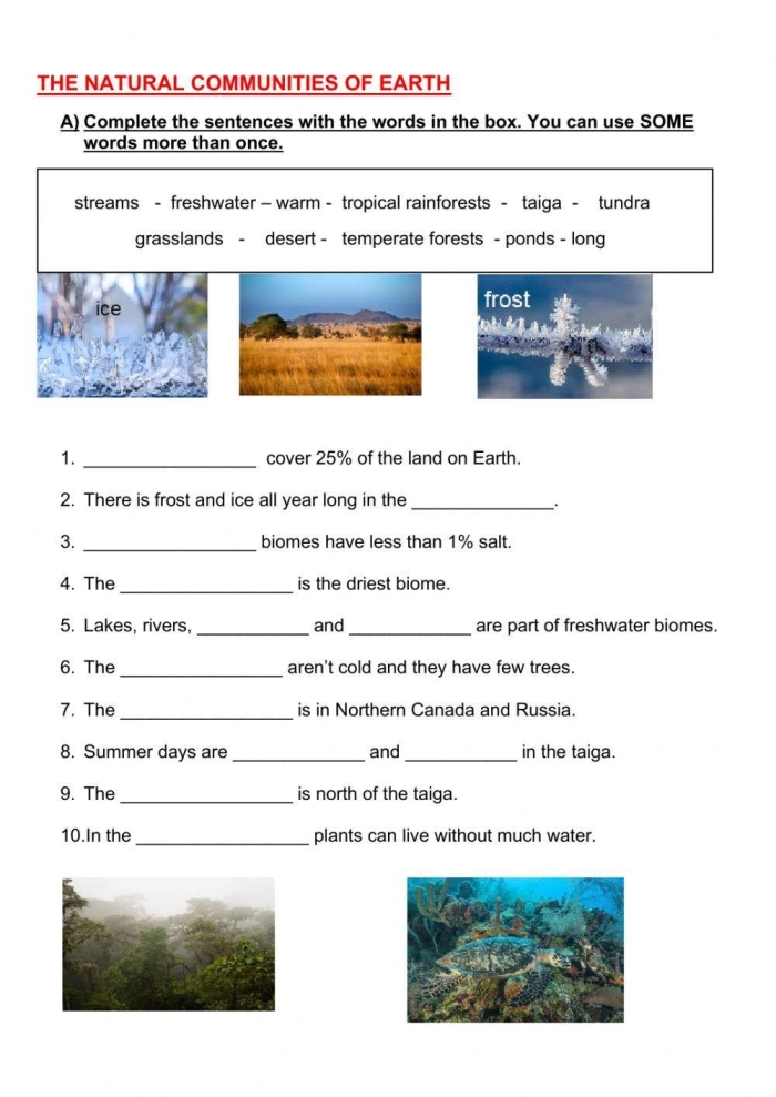 Educational worksheet image titled "What Is a Biome?" for fourth-grade students Illustration of various biomes showcasing Earth's diverse ecosystems for a fourth-grade life science worksheet