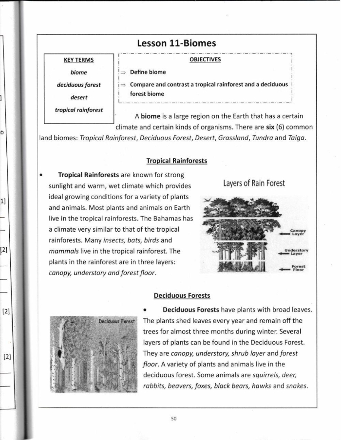 An educational resource titled "What Is a Biome?" designed for young learners in geometry class A colorful worksheet for fourth graders exploring various Earth biomes and related life science questions