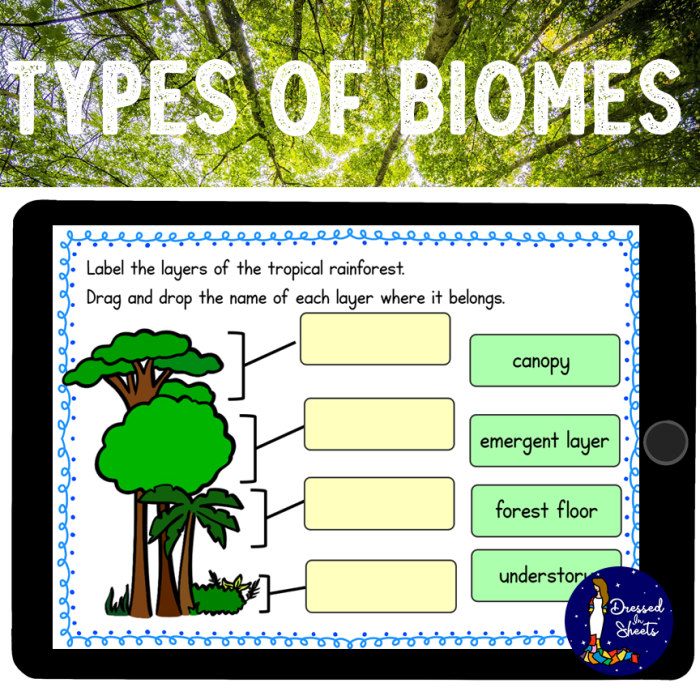 Understanding biomes in life science: worksheet image 14 Worksheet exploring various biomes for fourth-grade students