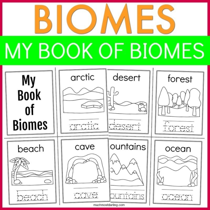 Educational worksheet titled "What Is a Biome?" for understanding Earth's ecosystems Illustration of various biomes featured in a fourth-grade life science worksheet