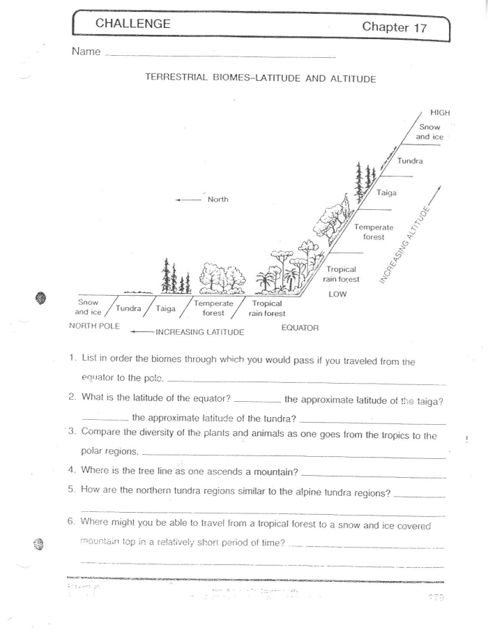 Fun Printable Worksheets on Biomes for Fourth Graders