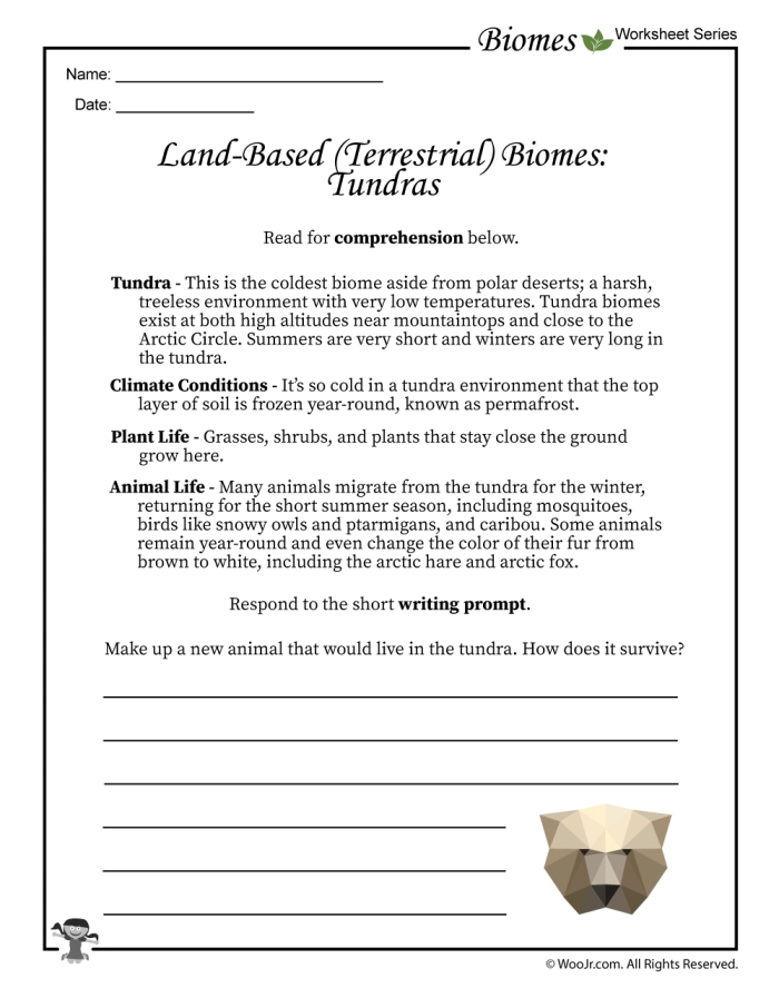 Educational worksheet on biomes for fourth-grade geometry students Illustration of various biomes featured in a fourth-grade life science worksheet