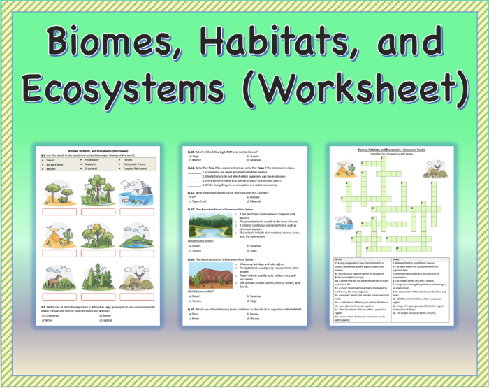 Geometry worksheet for Fourth Grade Colorful worksheet titled "What Is a Biome?" for fourth graders exploring various Earth biomes. Engaging life science activity sheet filled with questions and answers about biomes.