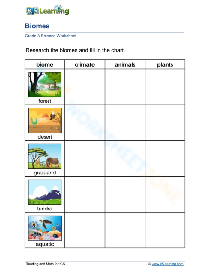 Worksheet image illustrating various Earth biomes and related questions Detailed worksheet on biomes for fourth graders exploring life science concepts