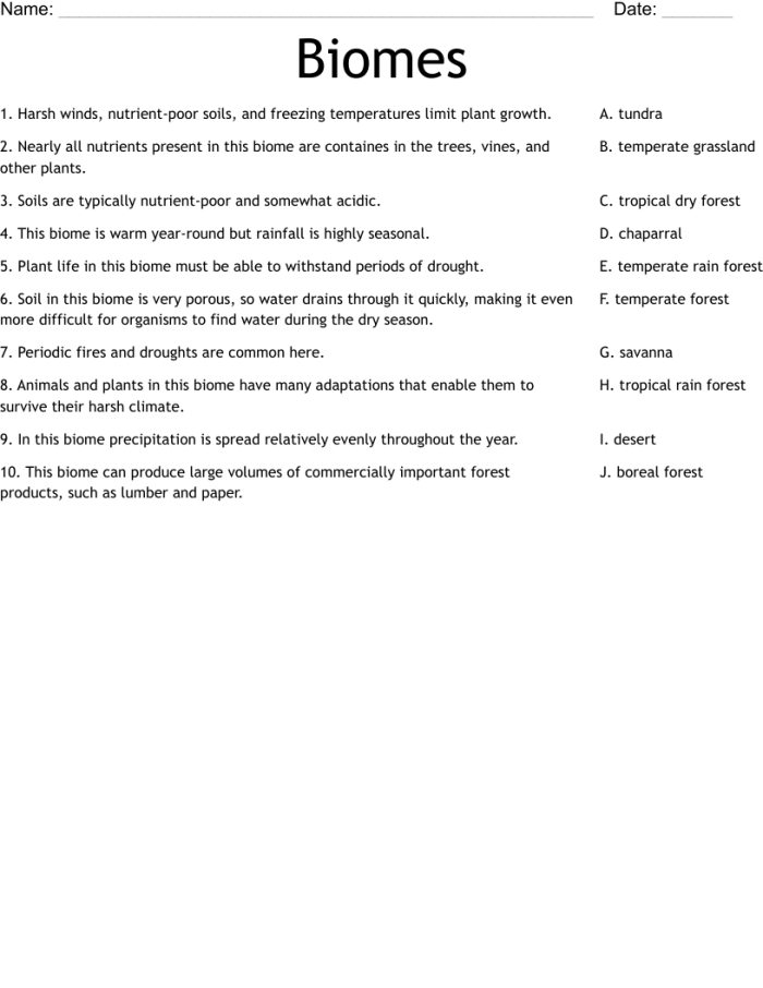 Educational resource titled "What Is a Biome?" for life science study Worksheet exploring various Earth biomes for fourth graders