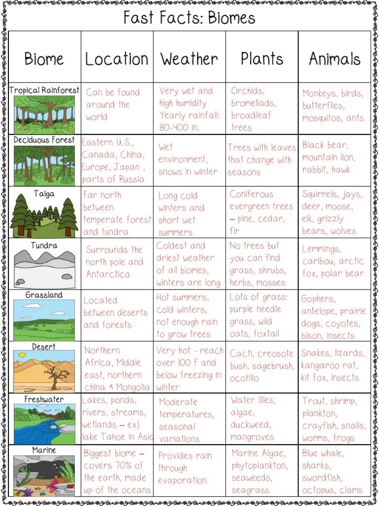 Geometry worksheet for Fourth Grade Image of a fourth-grade worksheet titled "What Is a Biome?" focusing on Earth's various biomes and related life science questions. Educational worksheet illustrating biomes for fourth-grade life science students.