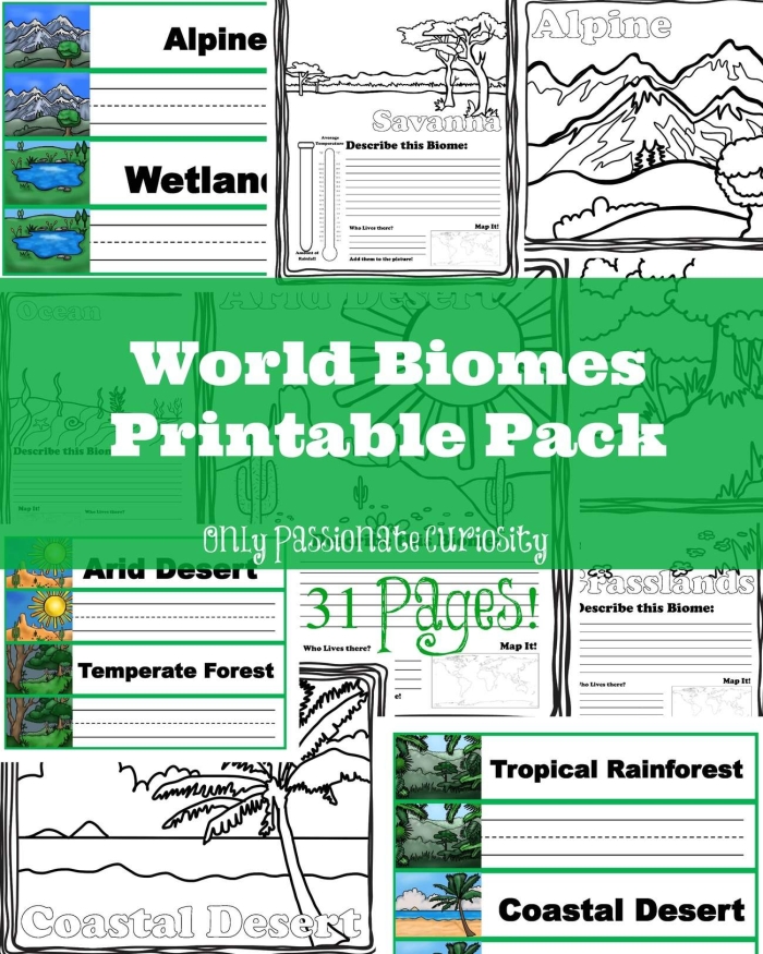 Worksheet image illustrating the topic of biomes for fourth-grade students A fourth-grade student exploring a worksheet on biomes, focusing on life science concepts