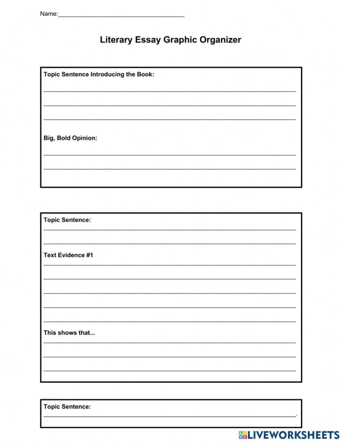 Literary Essay Graphic Organizer worksheet designed for fourth graders to plan their essays effectively