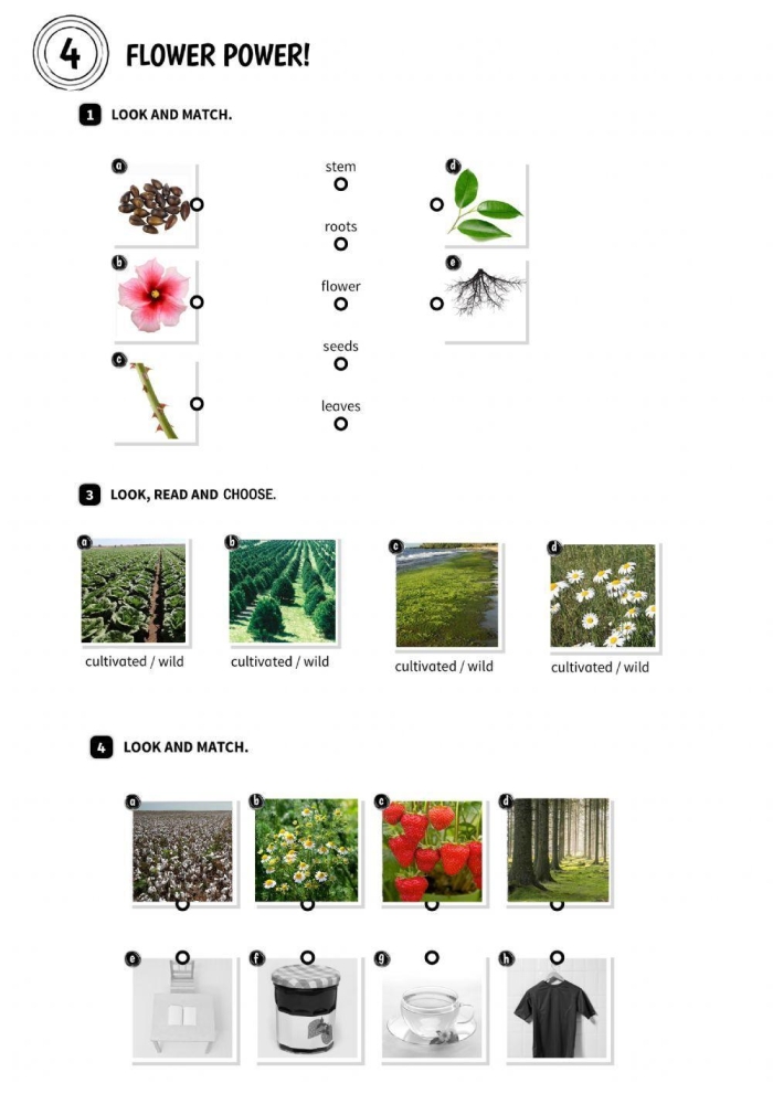 Engage in garden math fun with the Word Problems Flower Power worksheet 21 Fourth grade students solving flower-themed word problems with addition and subtraction