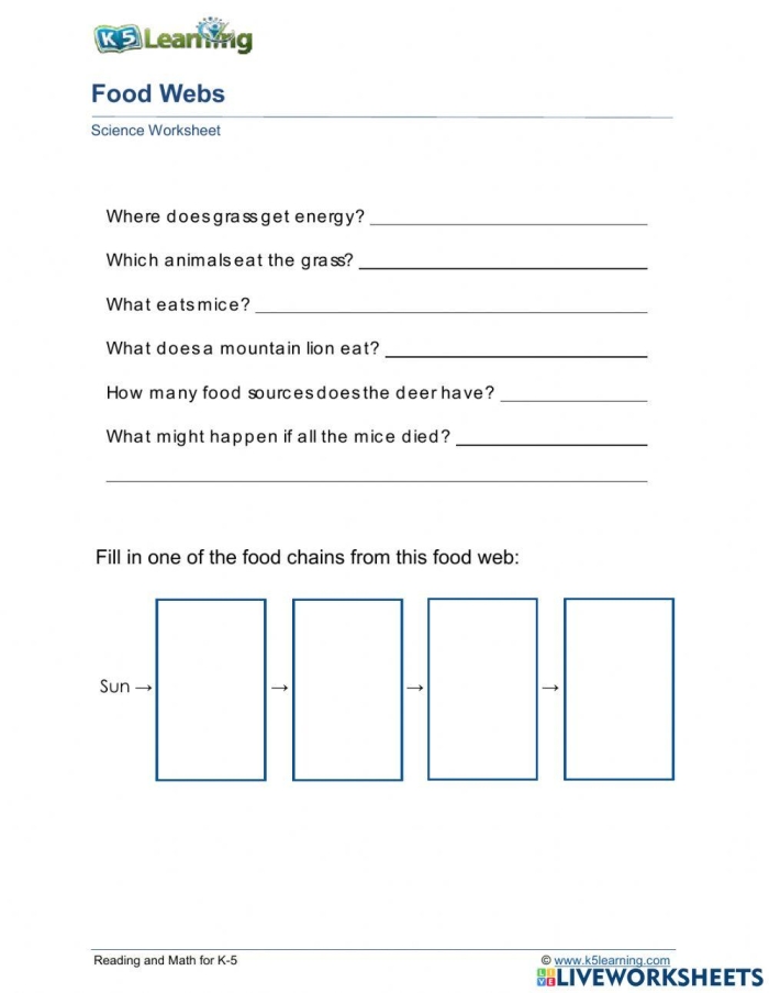 Fourth Grade Food Webs Worksheet for Grammar and Mechanics Lesson 20 Fourth grade students completing a Fun with Food Webs worksheet to learn about ecosystems
