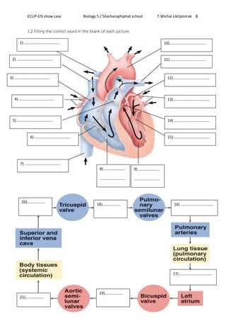 How the Heart Works: A Detailed Worksheet for Fourth Graders Illustration of the heart's anatomy for educational purposes in a fourth-grade worksheet