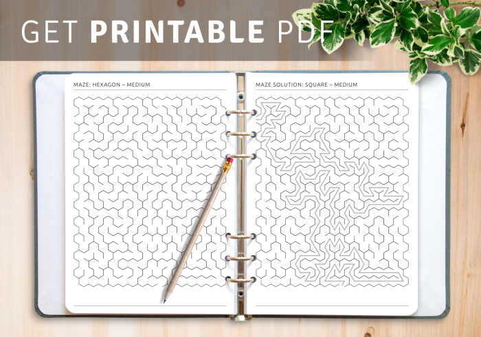 Engaging fourth-grade worksheet featuring hexagonal mazes for polygon practice Students working on the It's a Maze of Hexagons! worksheet, identifying shapes and prime numbers