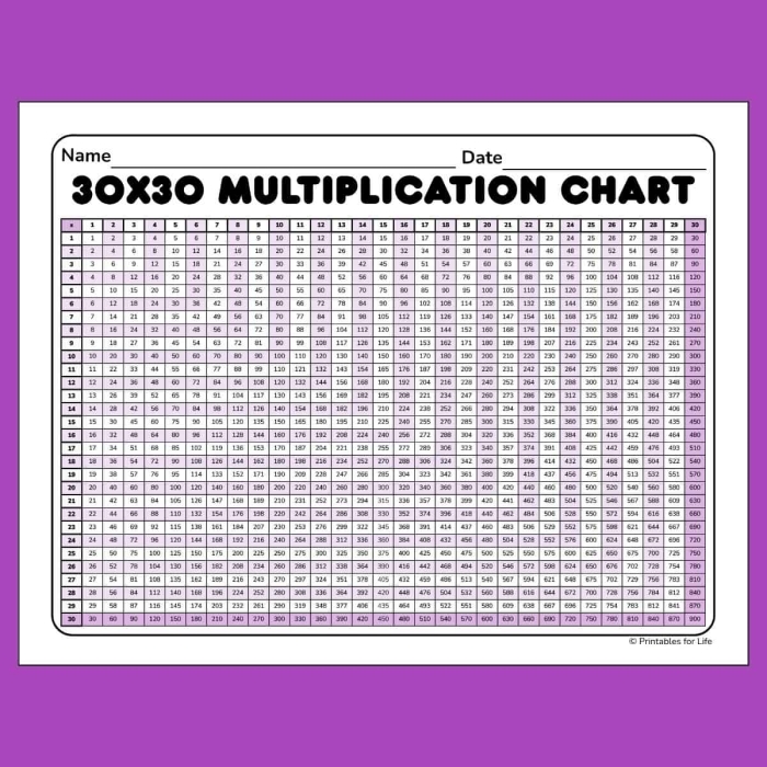 Multiplication Table 30x30 Practice Worksheet for Fourth Grade Math Skills A fourth grade student using a large 30x30 multiplication table worksheet to practice advanced times table drills