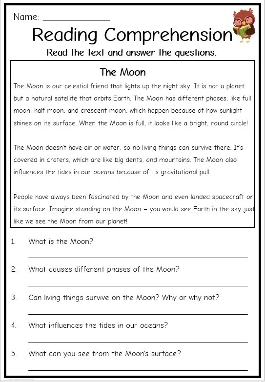 Worksheet for fourth graders focusing on nonfiction comprehension about the St. Johns River in Florida