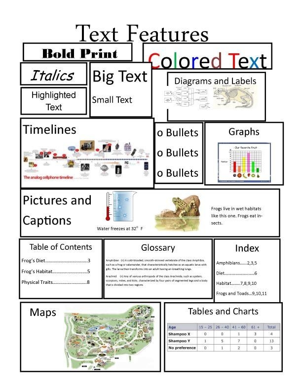 Nonfiction Text Features Checklist resource for grade 4 students in lesson plan 11 Fourth Grade Nonfiction Text Features Checklist worksheet for grammar and mechanics