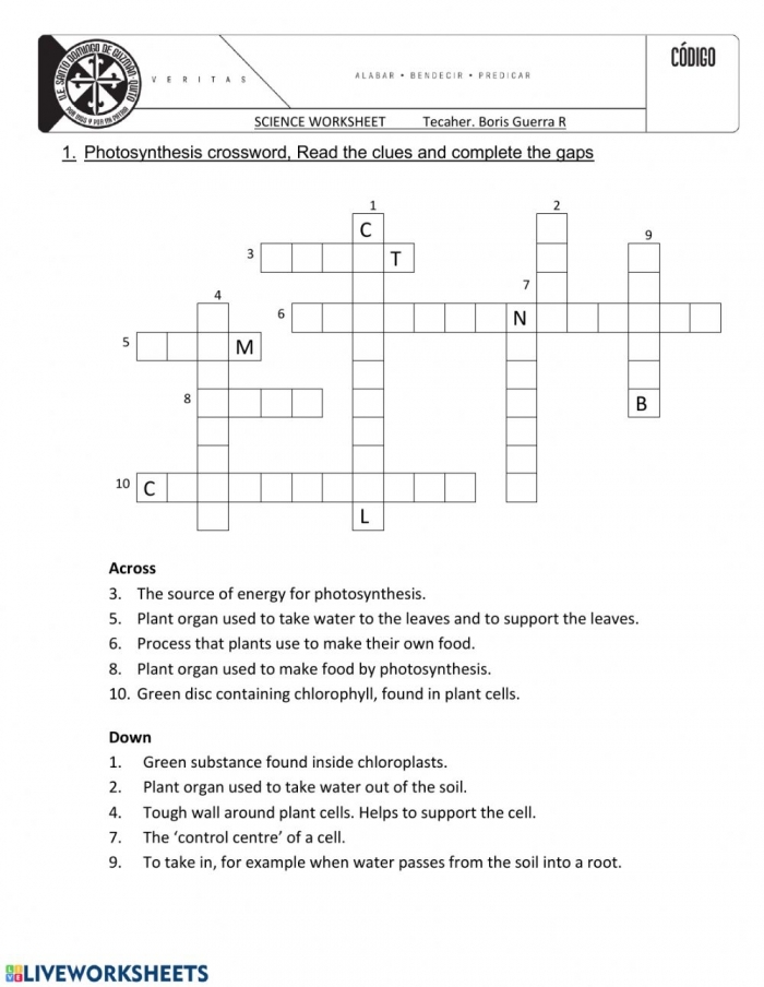 Explore the fascinating process of photosynthesis in this fun worksheet for young learners Fourth Grade Water and Photosynthesis worksheet with colorful alphabet illustrations