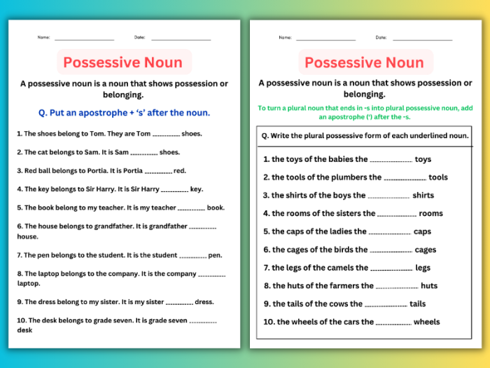 Worksheet featuring a Pronoun Review on Possessive, Relative, and Indefinite pronouns for fourth graders