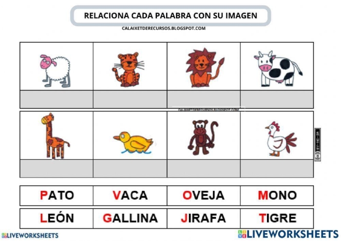 Worksheet showing examples of "la" and "el" for fourth-grade Spanish learners