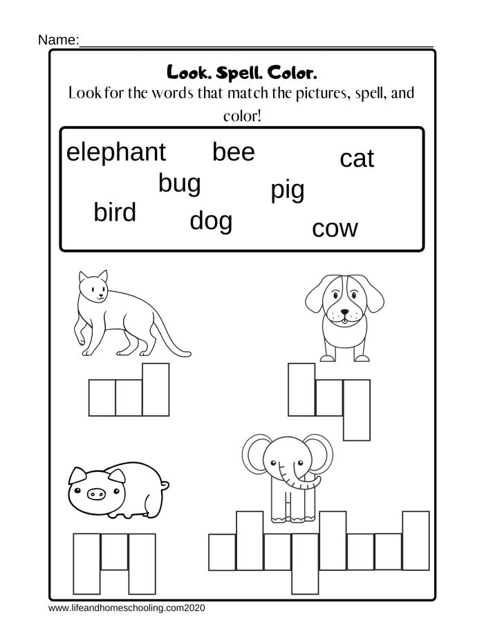 Fourth grade students practicing spelling and vocabulary in an engaging worksheet