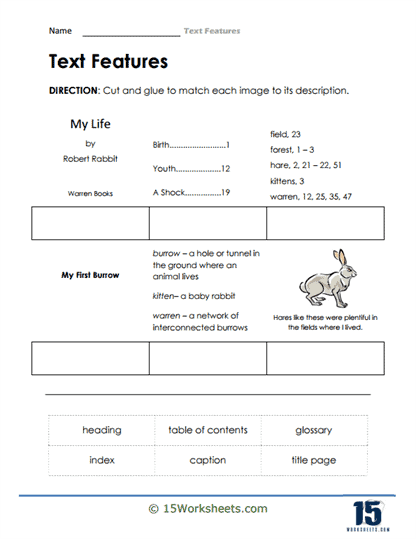 Worksheet for sorting text features in fourth-grade handwriting activities