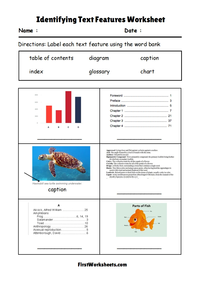 Worksheet for sorting text features to enhance learning about information organization