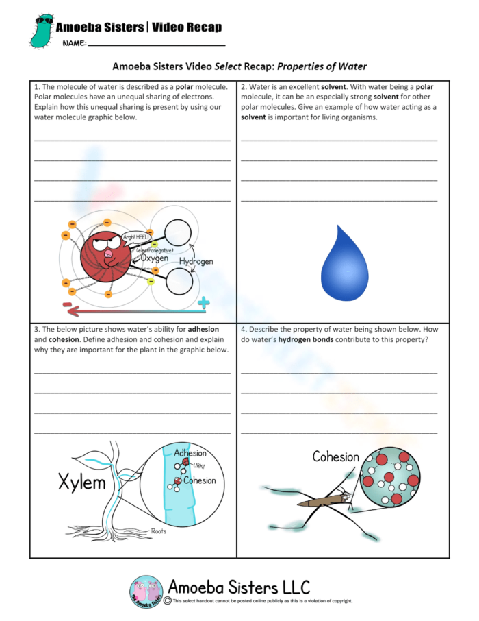 Educational resource image for the Physical Properties of Water worksheet Worksheet for fourth graders exploring the physical properties of water and its specific heat