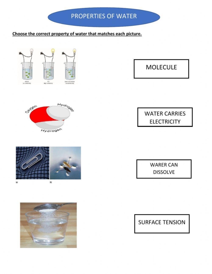 Educational resource on water's specific heat and kinetic energy concepts Worksheet exploring the physical properties of water for fourth graders