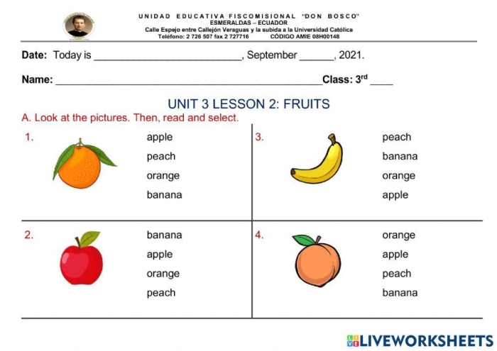 Engaging fruit-themed worksheet for first graders to learn vocabulary and practice spelling skills First Grade Fruit Vocabulary worksheet featuring colorful fruit illustrations and spelling practice