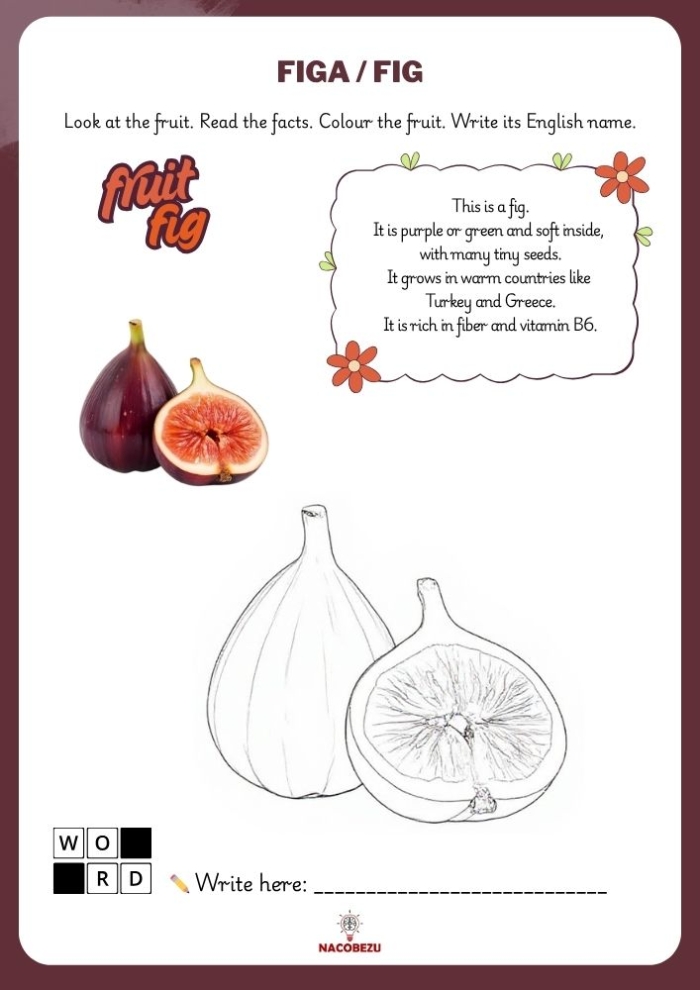 Engaging fruit vocabulary activity for first graders with coloring and spelling tasks Coloring and spelling fruits on a first grade fruit vocabulary worksheet
