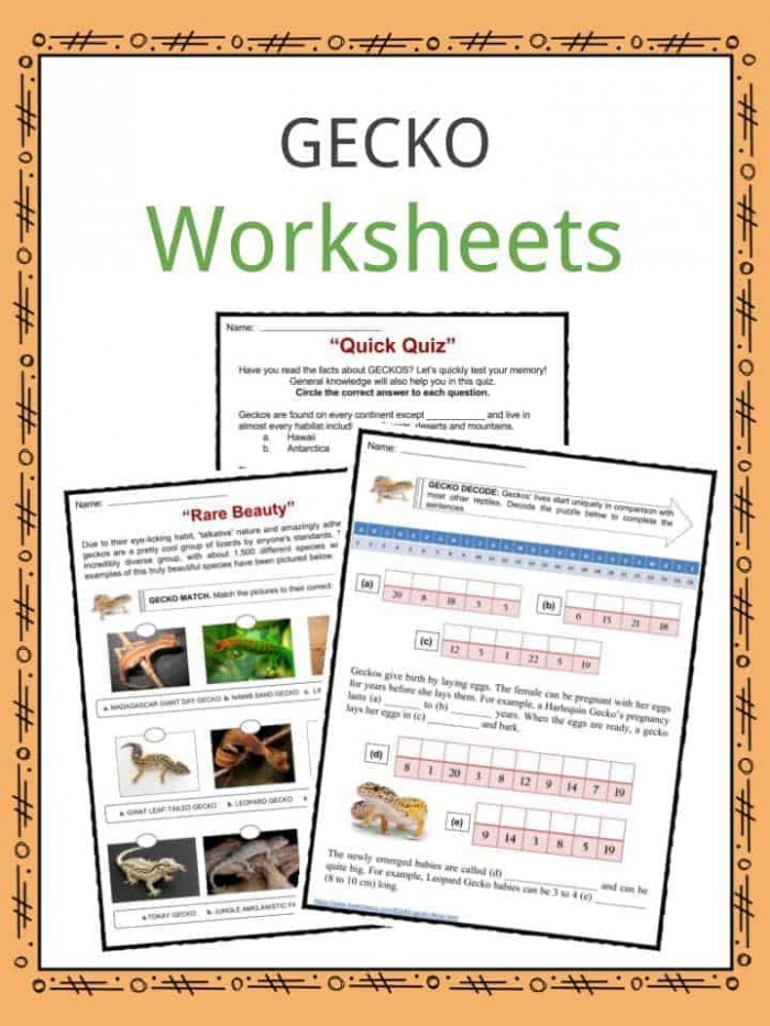 Engaging reading and writing activity on geckos for young learners Colorful worksheet featuring fun facts about geckos for second graders