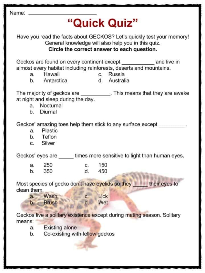 Engaging reading and writing activity about geckos for young learners Colorful worksheet featuring fun facts about geckos for second graders