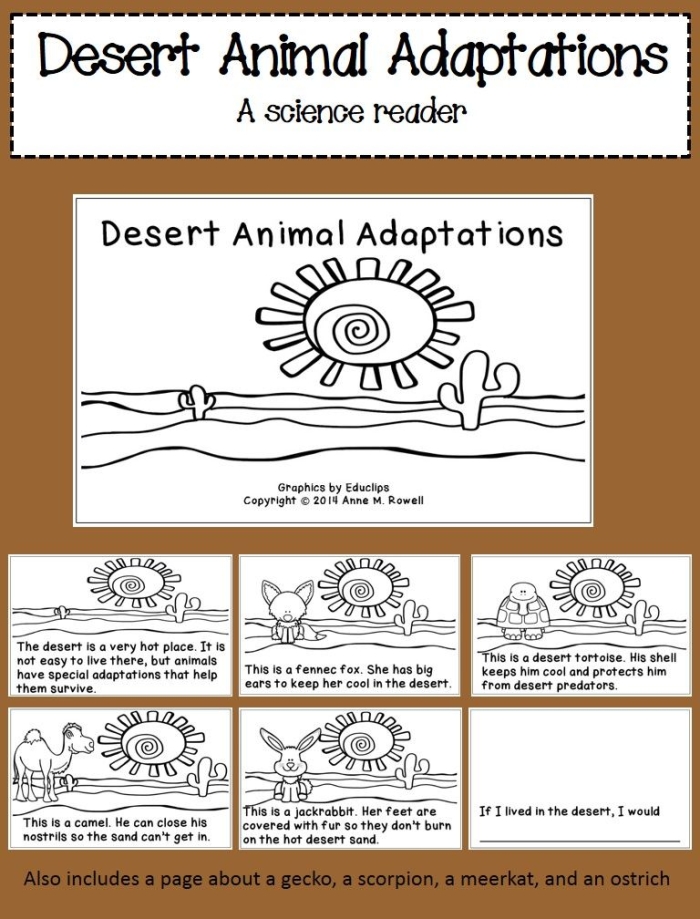 Engaging reading and writing activity about geckos for young learners Fun educational worksheet featuring interesting gecko facts for second graders