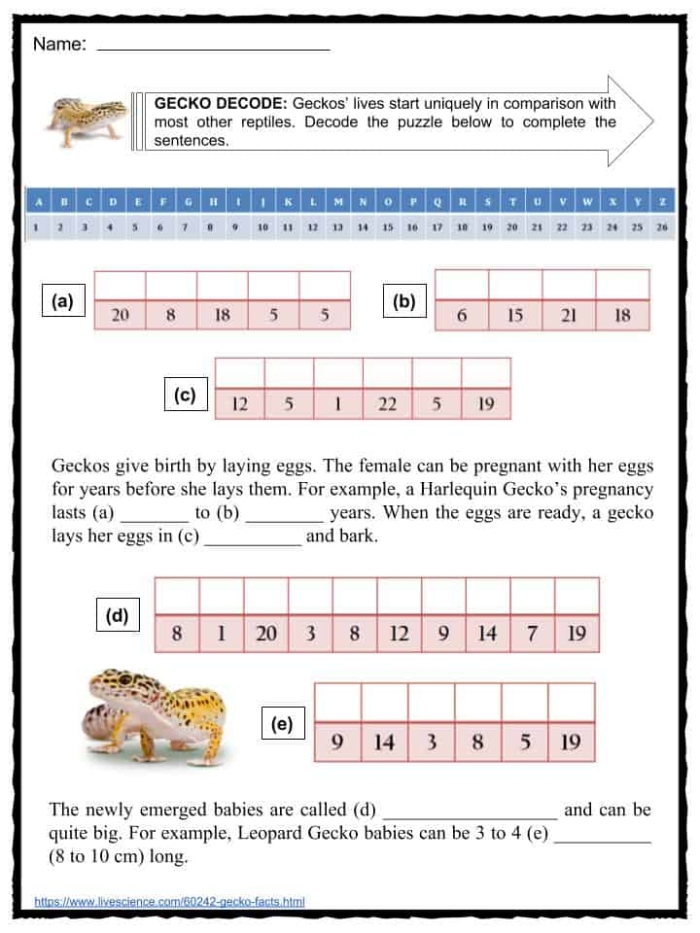 Engaging reading and writing activity centered on gecko trivia Colorful worksheet featuring fun facts about geckos for second graders