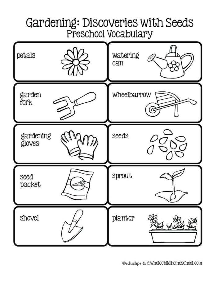Third grade student coloring garden plots while practicing fraction reduction skills on a math worksheet