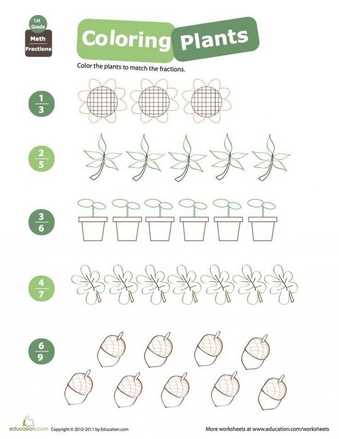 A third grade student coloring garden plots to practice reducing fractions on a worksheet