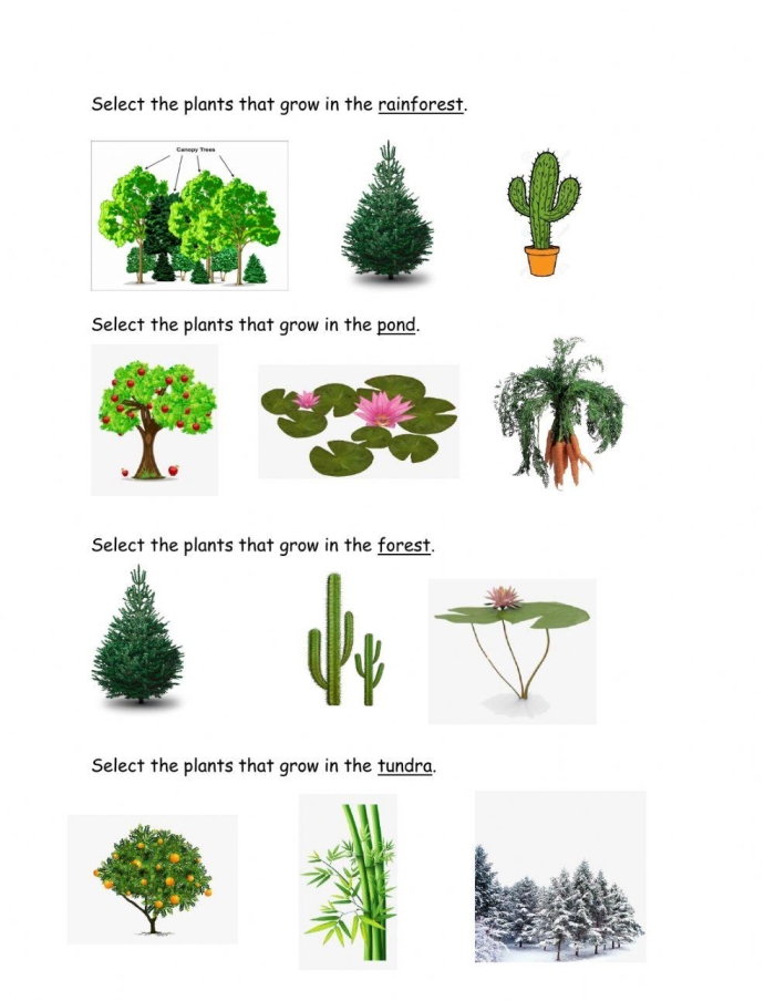 Engaging multiplication word search game for second graders on garden vocabulary number 15 Second Grade multiplication word search worksheet titled How Does Your Garden Grow with garden-themed words