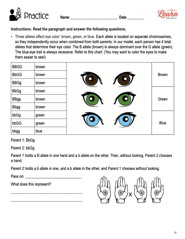 Explore genes and traits with Steve the savvy scientist in this fifth grade worksheet on life science Fifth grade life science worksheet featuring Steve the savvy scientist explaining genes and traits