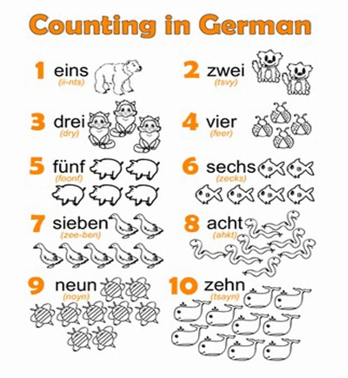 First Grade German Numbers worksheet focusing on basic fractions for beginners
